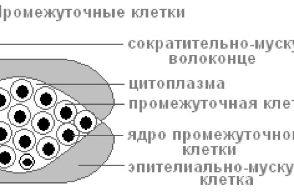 Кракен современный даркнет