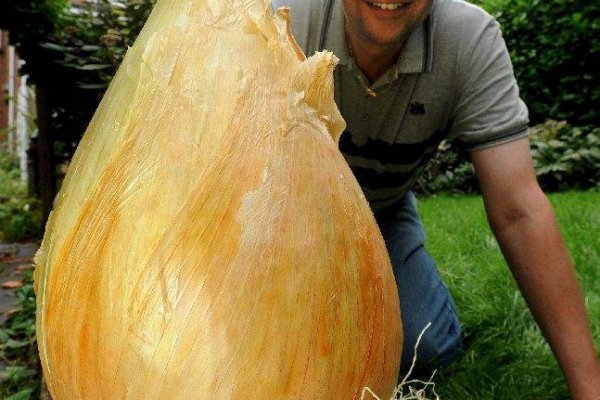 Кракен ссылка bazaonion com