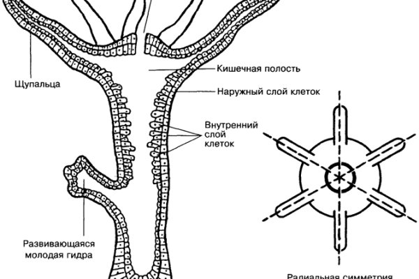 Кракен даркнет тор