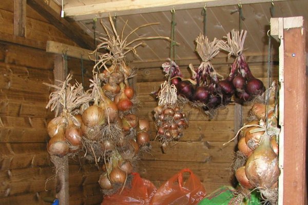 Как восстановить кракен