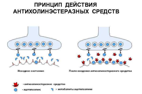 Кракен даркнет войти